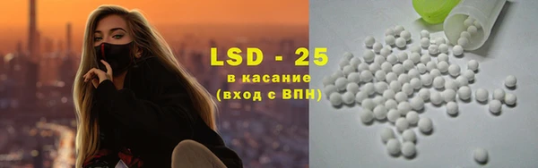 PSILOCYBIN Армянск