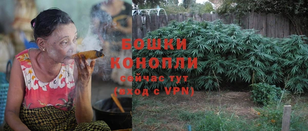 PSILOCYBIN Армянск