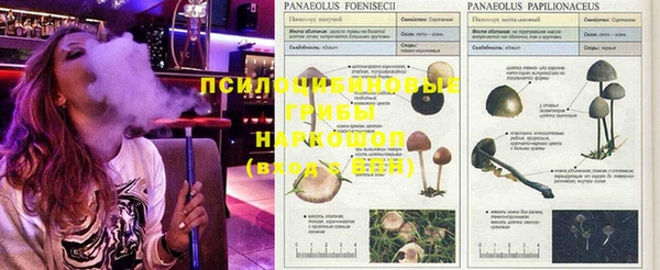 герыч Приозерск