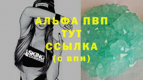 стафф Протвино