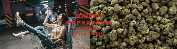 стафф Протвино
