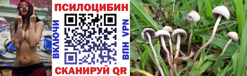 кракен tor  Малоархангельск  Галлюциногенные грибы MAGIC MUSHROOMS 